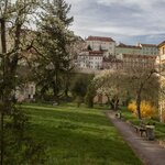 Boromejská zahrada | Foto: Archiv Kongregace Milosrdných sester sv. Karla Boromejského | Všechna práva vyhrazena