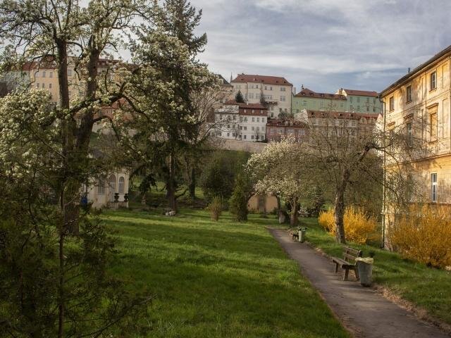 Boromejská zahrada | Foto: Archiv Kongregace Milosrdných sester sv. Karla Boromejského | Všechna práva vyhrazena