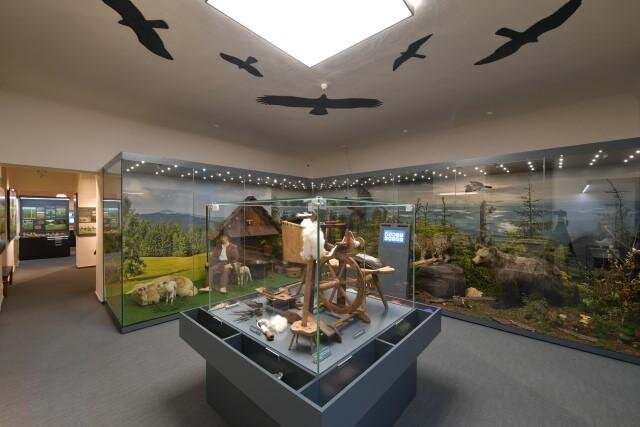 Muzeum Beskyd – scénografie přírody | FOTO: M plus spol. s r.o.  | Všechna práva vyhrazena