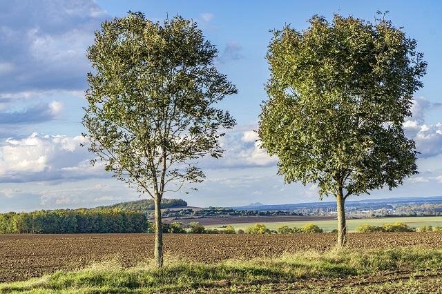 Okolí Kolína | FOTO: Roman Šulc | Všechna práva vyhrazena