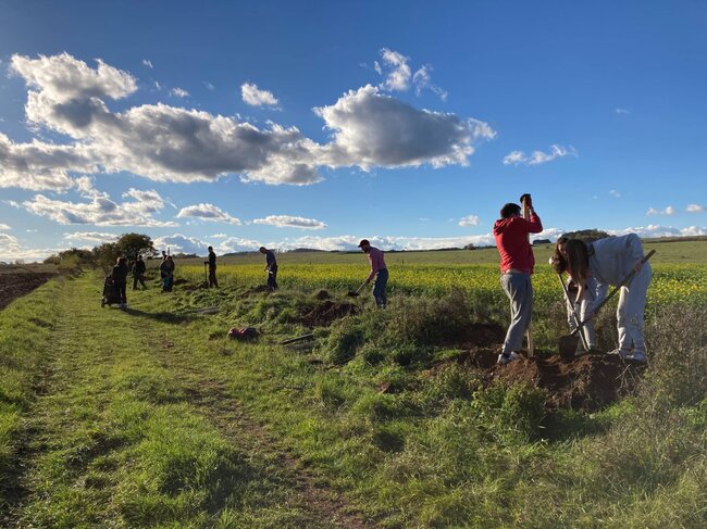 Obnova zaniklé cesty a hruškové aleje u Očihova | © Vojtěch Peksa