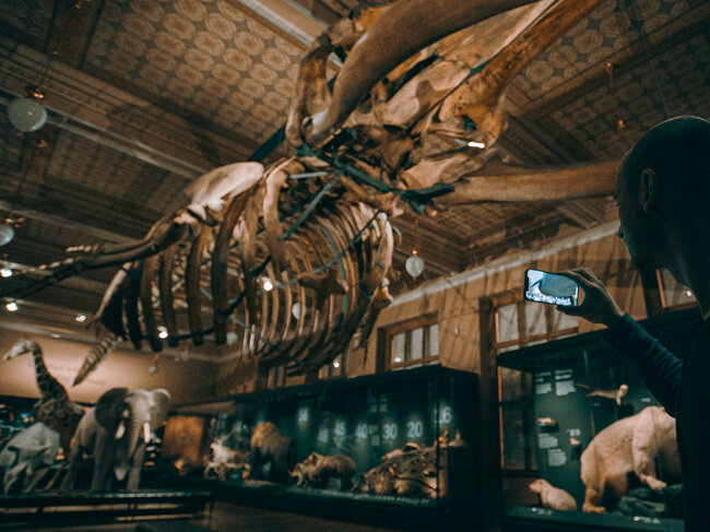 Rozšířená realita pro model plejtváka myšoka v Národním muzeu | © Martin Kaňůrek