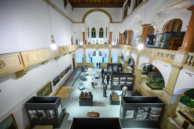 Severočeské muzeum Liberec – velký výstavní sál | FOTO: M plus spol. s r.o. | Všechna práva vyhrazena