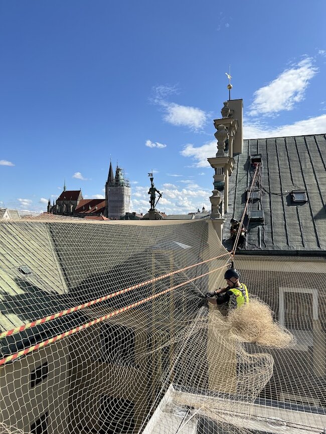 Kolín, novorenesanční radnice – instalace sítě proti ptactvu nad nádvořím  | © Archiv Pavouci s. r. o.