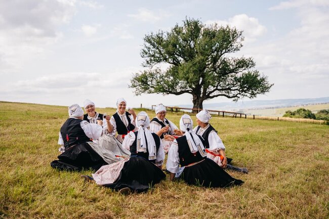 Strom roku – pořadatelé internetové ankety | © Tomáš Kalous