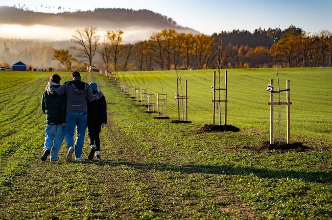 Sázíme budoucnost – koordinace výsadby stromů a péče o zeleň v rámci akce Alej svobody | © Klára Hlavatá