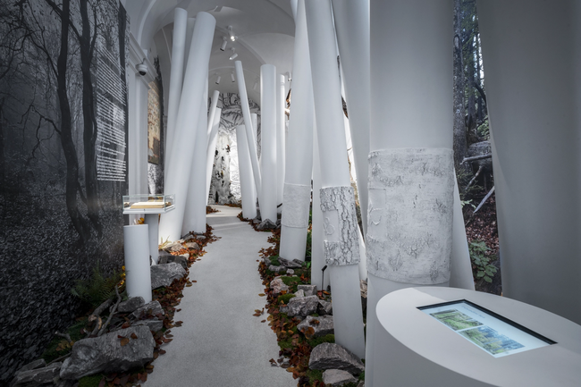 Vrchlabí, Muzeum Krkonoš – komplexní instalace expozice (2022–2023) ve zrekonstruovaném barokním klášteře. Projekt kombinoval náročnost historické budovy s požadavky na moderní návštěvnický zážitek. | © Archiv Capacity Expo s. r. o.