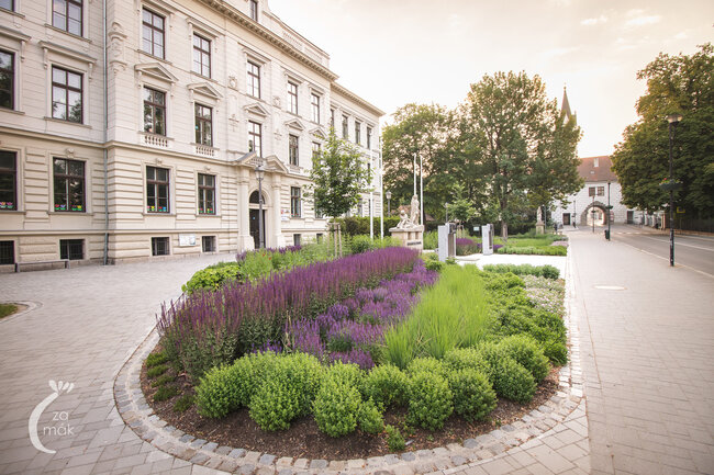 Třeboň, Sokolská ulice – veřejný prostor před historickou bránou města a základní školou | © Archiv Ateliéru Za Mák