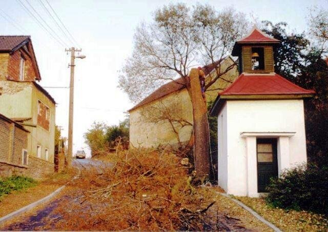 Postupné kácení jasanu nad kapličkou | Jan Pěta - ošetření stromů | Všechna práva vyhrazena