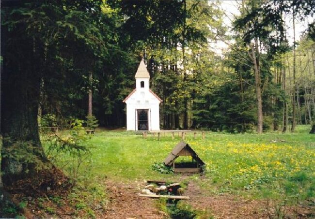 Studánka U Kněžny nedaleko obce Studený  | Občanské sdružení Zelené srdce z.s. | Všechna práva vyhrazena