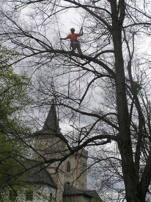Rožmberk | Mgr. Daniel Kocourek- Arbon | Všechna práva vyhrazena