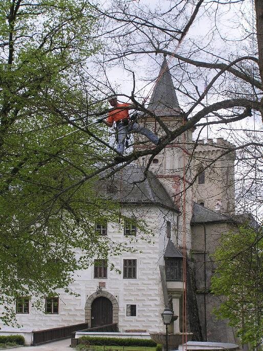 Rožmberk | Mgr. Daniel Kocourek- Arbon | Všechna práva vyhrazena