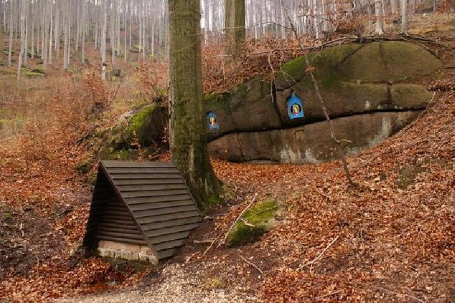 Jizerské hory - Plischkeho studánka  | Spolek Patron | Všechna práva vyhrazena