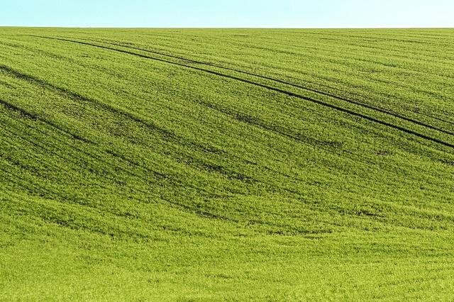 Kolínské Toskánsko – Štítary | FOTO: Roman Šulc | Všechna práva vyhrazena