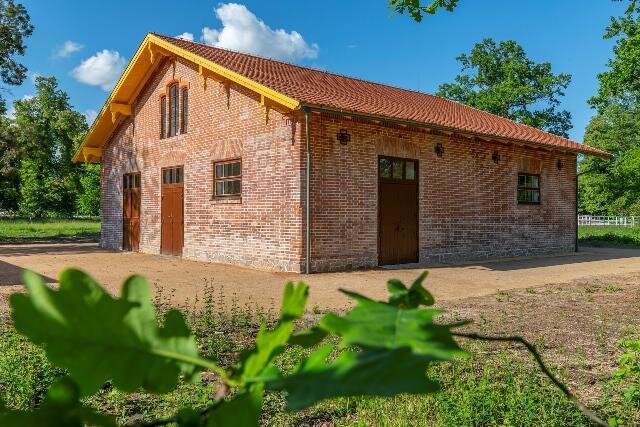 Národní hřebčín v Kladrubech nad Labem - paddock | Masák & Partner | Všechna práva vyhrazena