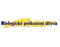 Logo_1551