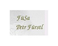 Petr Fürstl - štukatér