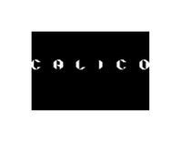 MgA. Jan Slivka - Calico
