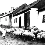 Dědina | © Bohumil Vavroušek