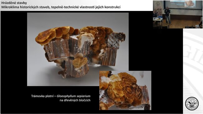 Trámovka plotní | © Společnost pro technologie ochrany památek – STOP