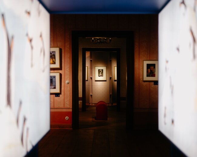 Český Krumlov, Palác ilustrace – atmosféra výstavních expozic při večerní kurátorské prohlídce | © Tomáš Perzl