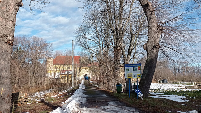 Stromová alej | © Michal Běhan