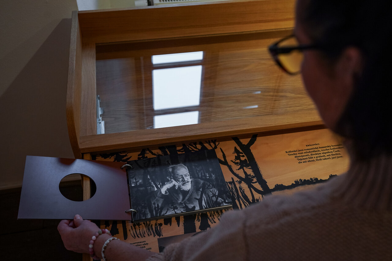 Nejvýznamnějším šumavským prostředím, ale zároveň i tématem, je pro Klostermanna les. | © Zdeněk Kluibr