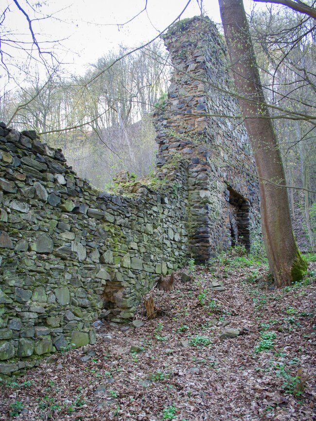 Zřícenina hradu Stará Dubá | © Archiv Františka Záruby