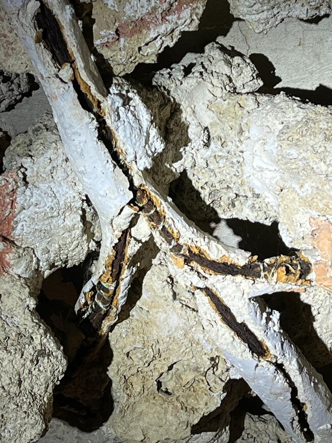 Kroměříž, Arcibiskupský zámek, Apollonova grotta –⁠⁠⁠⁠⁠⁠ detail poškození kovových armatur větví stromů | © Arcibiskupství olomoucké