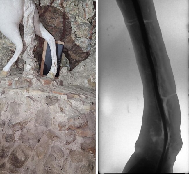 RTG snímek zadní pravé nohy důlního koně odhaluje rozsah poškození, který byl patrný i vizuálním ohledání. | © Arcibiskupství olomoucké