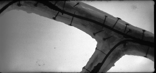 RTG snímek větve, viditelné armatury a kované hřebíky, kterými byla připevněna kůra do štukové hmoty větve. | © Arcibiskupství olomoucké