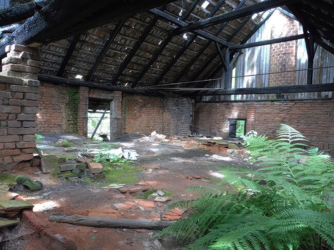 Boubín u Horažďovic, cihelna – náletová zeleň v interiéru před obnovou | © Miroslav Boček