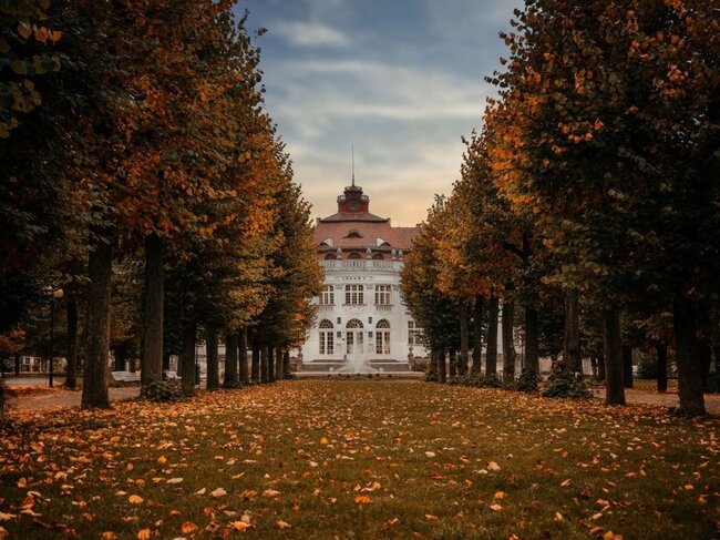 První místo ve fotosoutěži obsadila alej ve Smetanových sadech z Karlovarského kraje. | © Rostislav Kováč