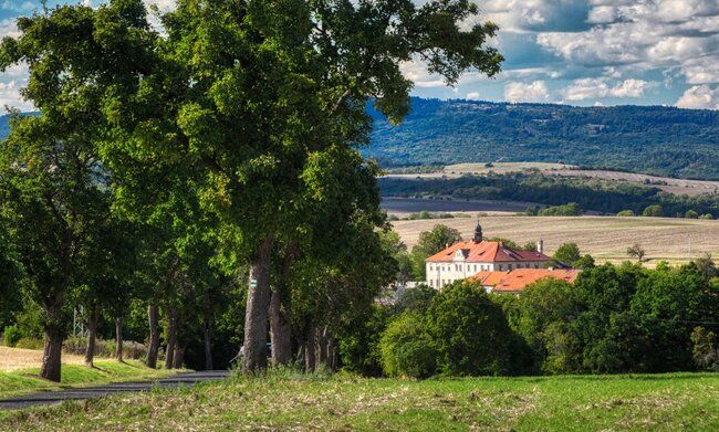 Zámek Brody s historickou stromovou alejí | © Roman Richtárech
