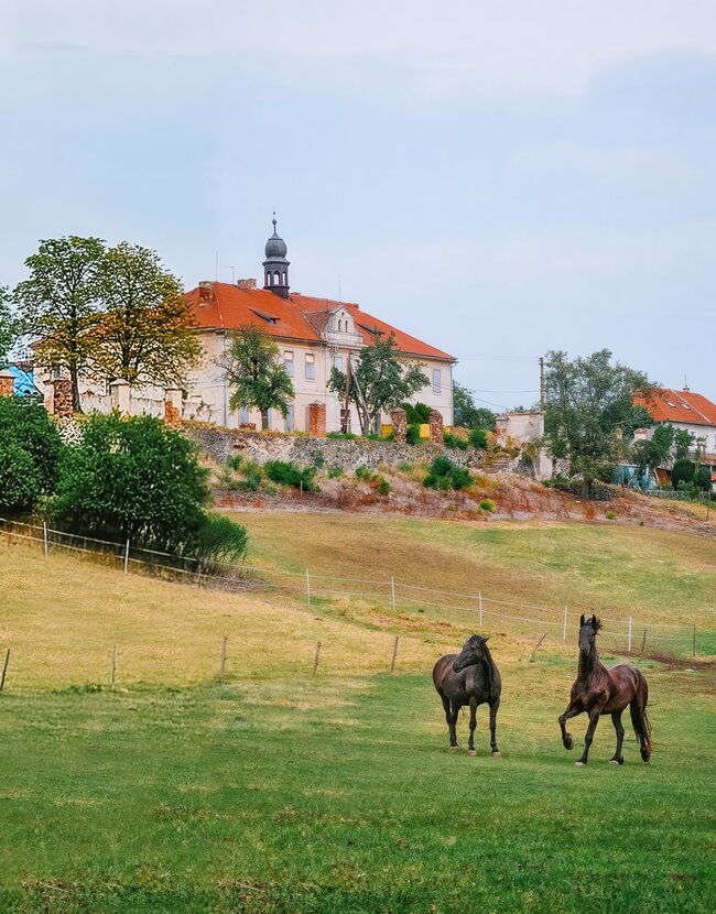 Pohled na zámek z jihozápadu 