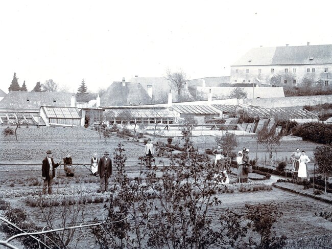 Snímek z roku 1905 představuje zahradu, která byla tehdy již několik desetiletí provozována coby zahradnictví rodiny Ignáce Kraffera. | © Archiv Ateliéru Za Mák