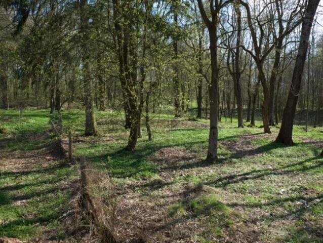Zámecký park