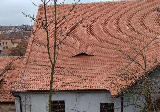 Pohled na zadní část střechy synagogy