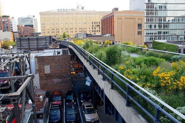 High Line je ve světě designu a architektury považován za obrovský úspěch. 