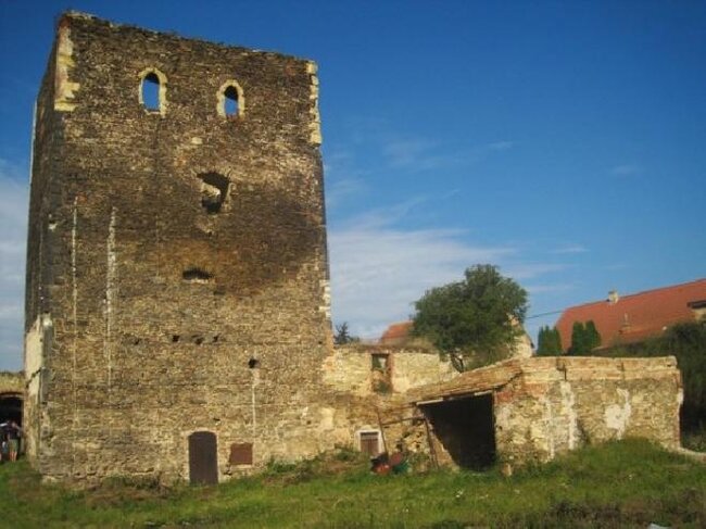 Za 81 milionů bude revitalizována část tvrze v Hradeníně (archivní snímek).