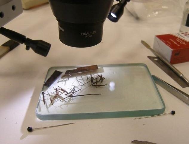 V kategorii Výzkum uspěl společný projekt Dánska a Řecka FIBRANET – FIBRes in ANcient European Textiles.
