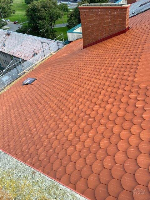 Detailní pohled na nové bobrovky