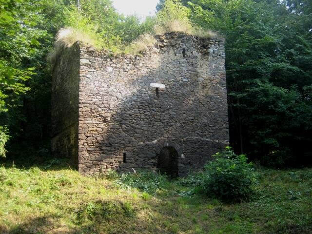 Věž v roce 2009 zarostlá vegetací