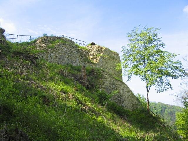 Severní strana hradního jádra s palácem a parkánovou zdí v létě 2018