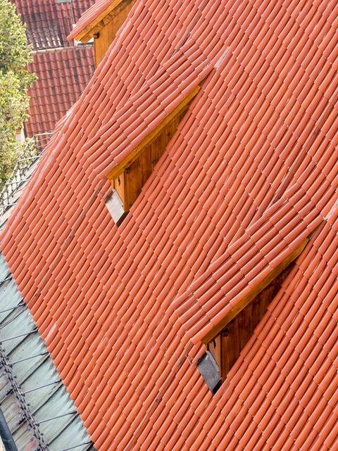 Detail vikýřů
