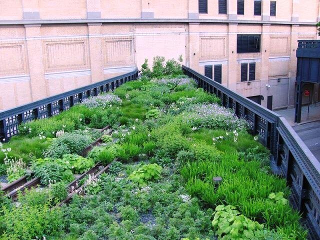 High Line je ve světě designu a architektury považován za obrovský úspěch. 