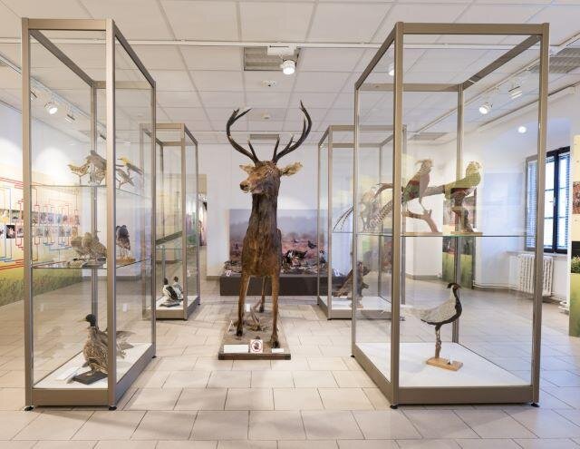Pohled do expozice Milování v přírodě