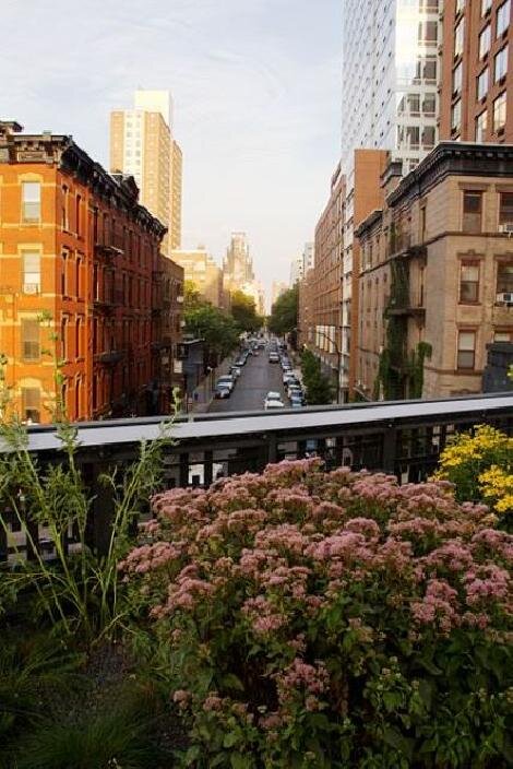 High Line je ve světě designu a architektury považován za obrovský úspěch. 