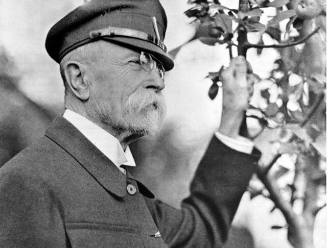 T. G. Masaryk u Stromu svobody