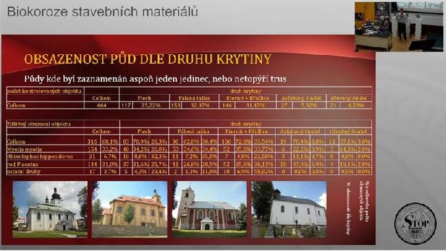 Obsazenost půd dle druhu krytiny